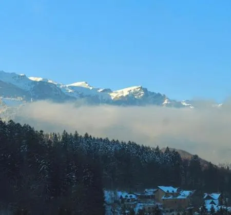 View Ap With Parking And 2 Bathrooms * Sinaia