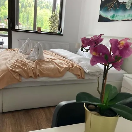View Ap With Parking And 2 Bathrooms Apartment Sinaia