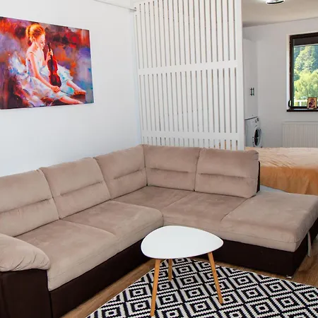 Apartment View Ap With Parking And 2 Bathrooms Sinaia